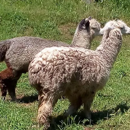 Farm stay Paradiso Esotico