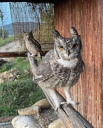 Agroturismo Paradiso Esotico Città di Castello