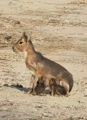 Paradiso Esotico Città di Castello