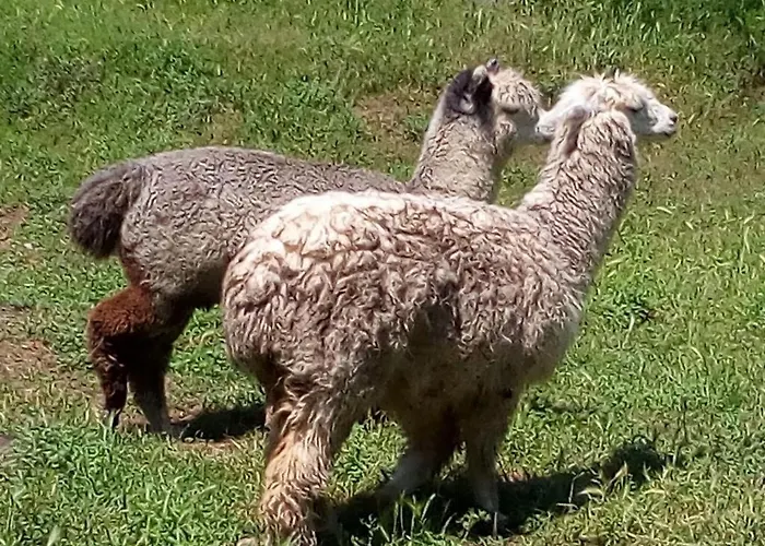 Agroturismo Paradiso Esotico