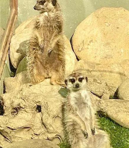 Agroturismo Paradiso Esotico *