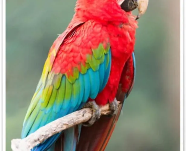 Agroturismo Paradiso Esotico *