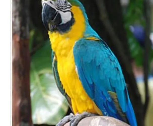 Alloggio per agriturismo Paradiso Esotico