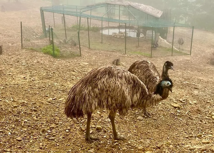 Paradiso Esotico Agroturismo Città di Castello